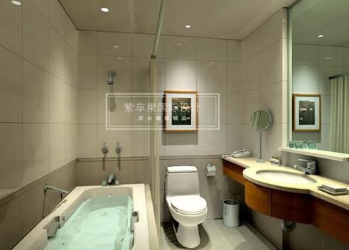 无锡紫苹果装饰