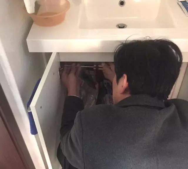 无锡紫苹果装饰