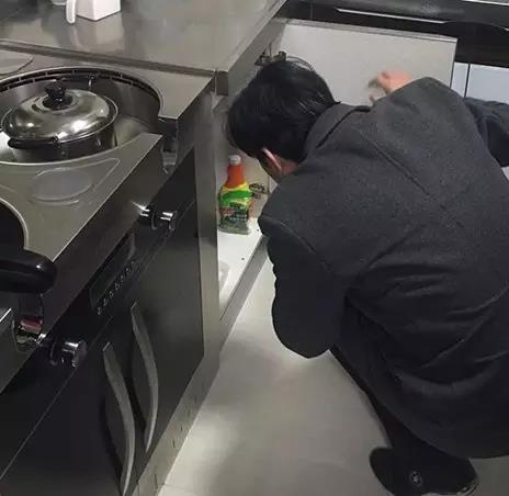 无锡紫苹果装饰