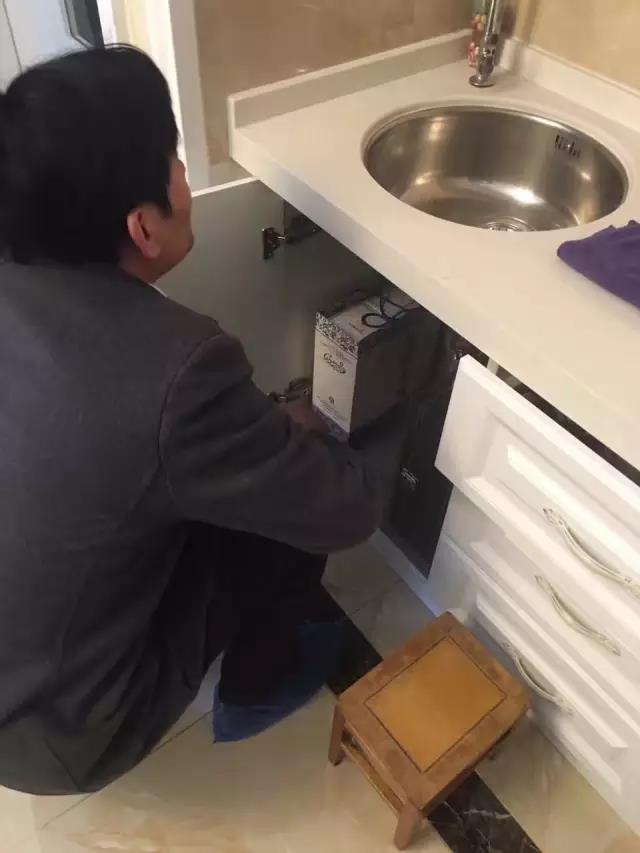 无锡紫苹果装饰