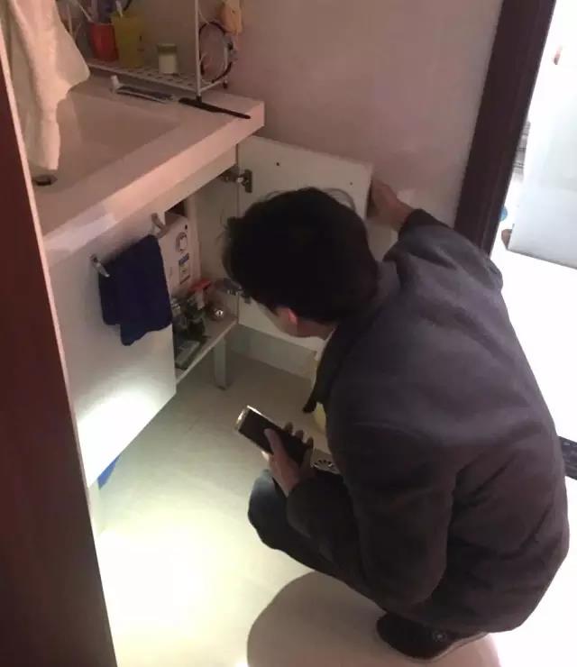 无锡紫苹果装饰