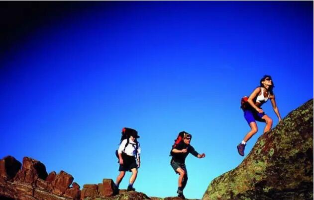 无锡紫苹果装饰