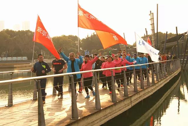 无锡紫苹果装饰