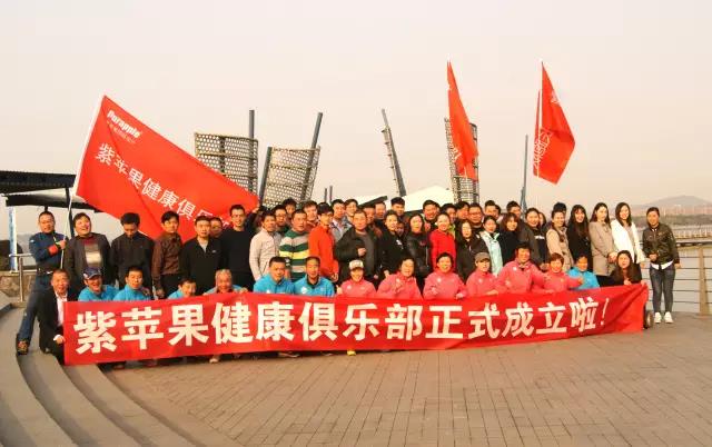 无锡紫苹果装饰