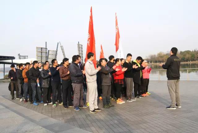 无锡紫苹果装饰