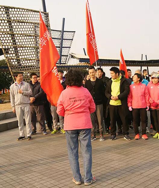 无锡紫苹果装饰