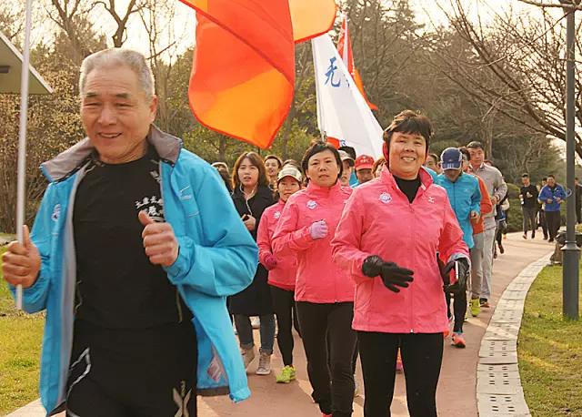 无锡紫苹果装饰