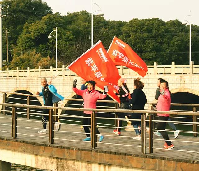 无锡紫苹果装饰