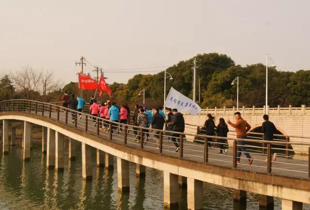 无锡紫苹果装饰