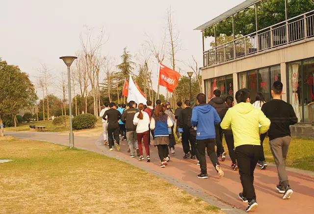 无锡紫苹果装饰