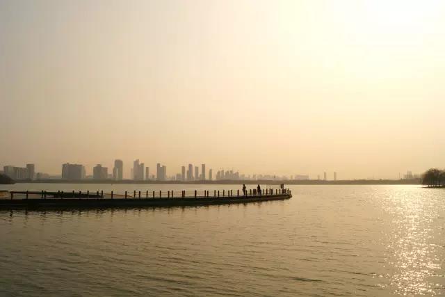 无锡紫苹果装饰