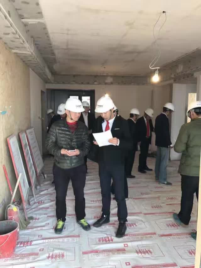 无锡紫苹果装饰