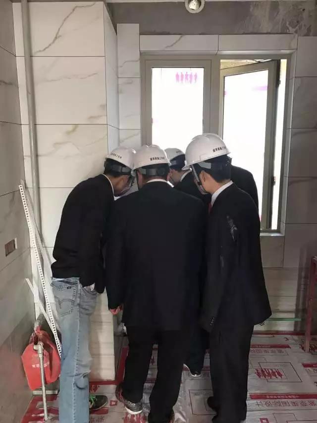 无锡紫苹果装饰