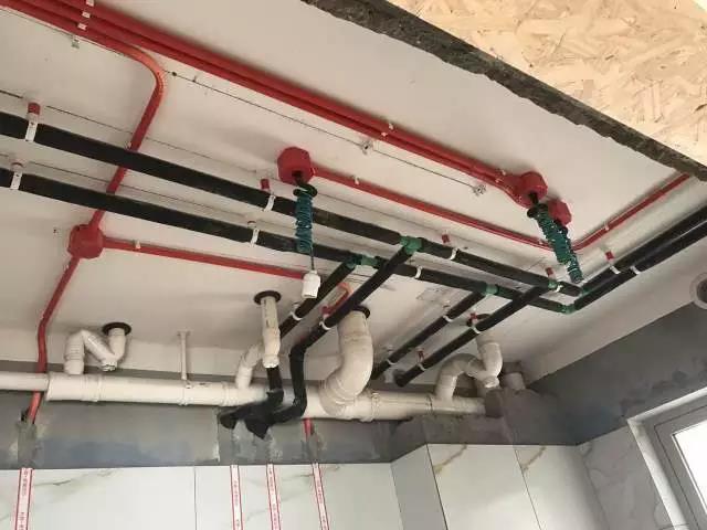 无锡紫苹果装饰