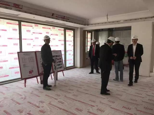 无锡紫苹果装饰