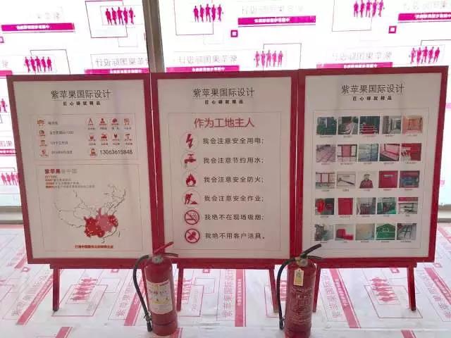 无锡紫苹果装饰