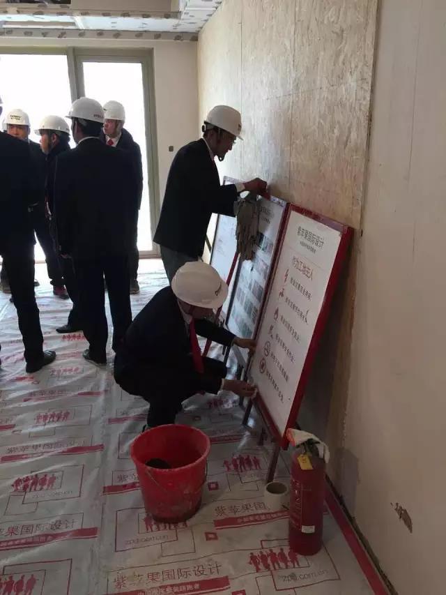 无锡紫苹果装饰