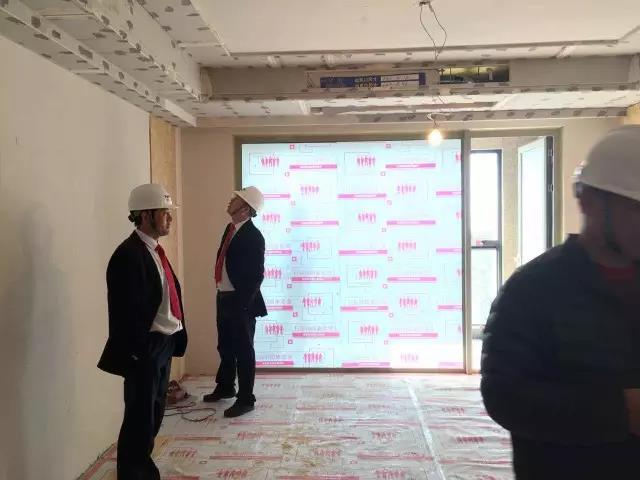 无锡紫苹果装饰