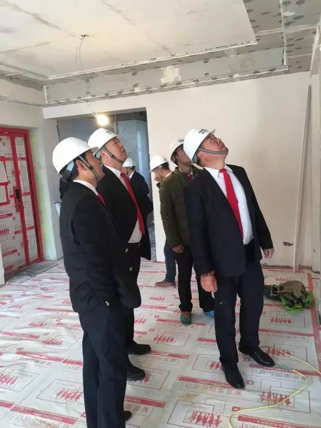 无锡紫苹果装饰