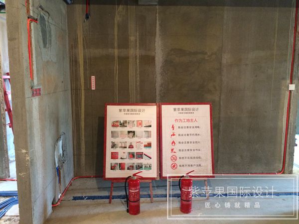 无锡紫苹果装饰