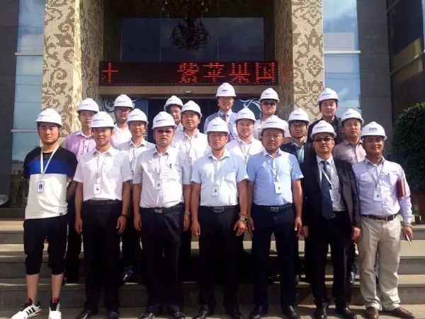 无锡紫苹果装饰