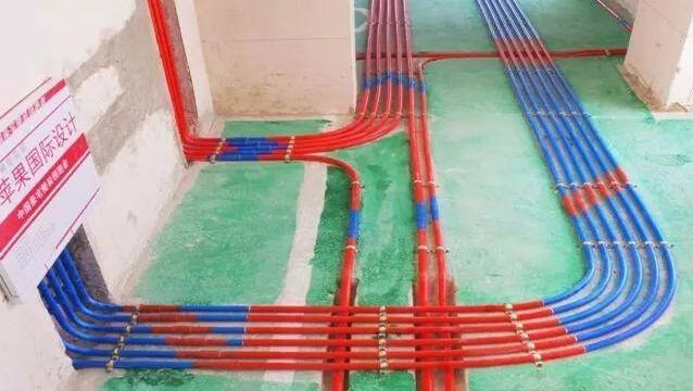 无锡紫苹果装饰