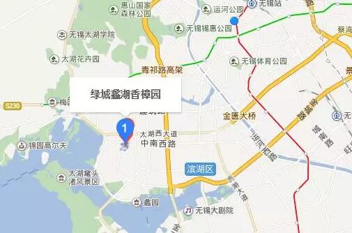 无锡紫苹果装饰