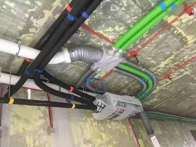 无锡紫苹果装饰