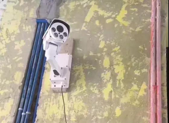 无锡紫苹果装饰