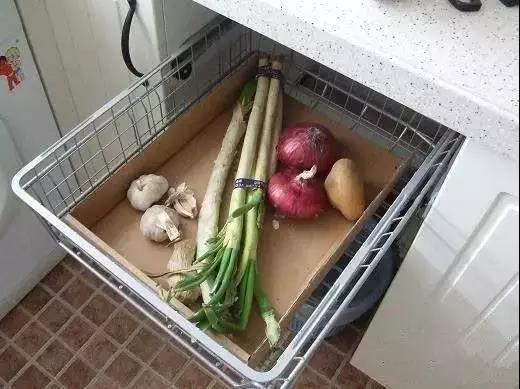 无锡紫苹果装饰