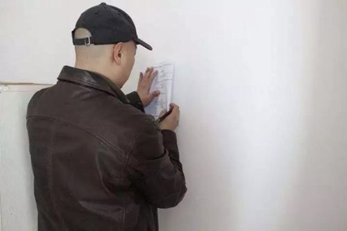 无锡紫苹果装饰