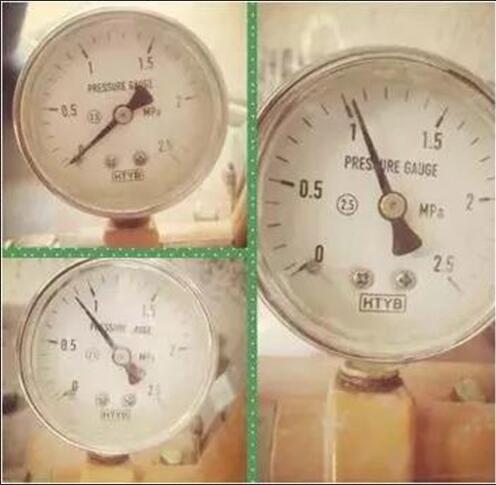 无锡紫苹果装饰