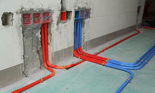 无锡紫苹果装饰