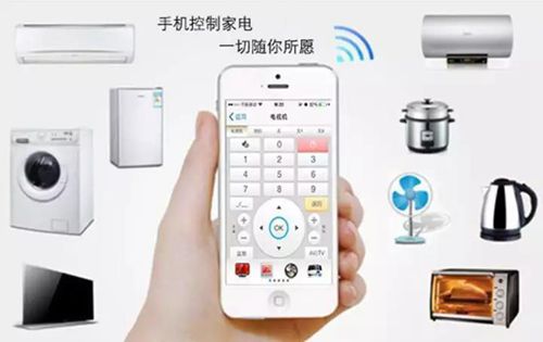 无锡紫苹果装饰