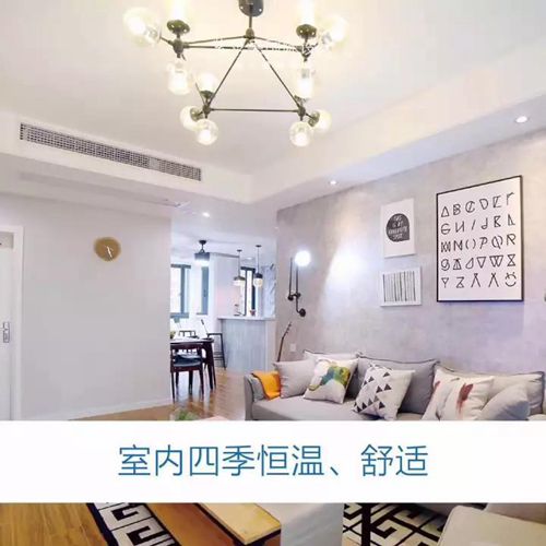 无锡紫苹果装饰