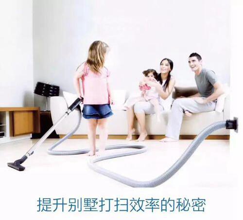 无锡紫苹果装饰