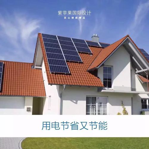 无锡紫苹果装饰