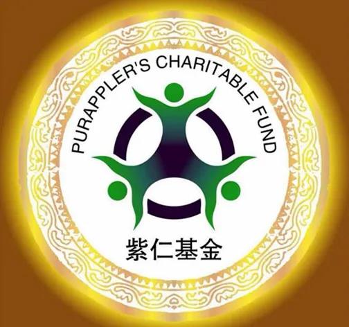 无锡紫苹果装饰