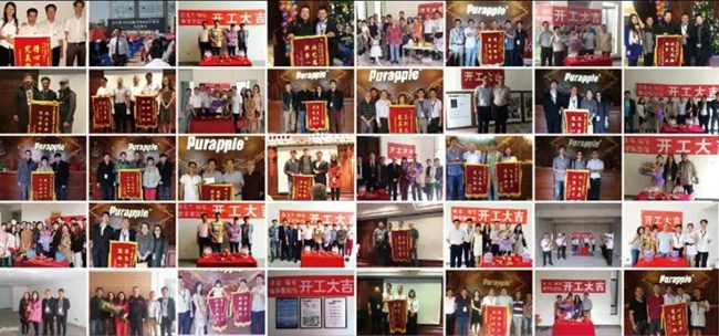 无锡紫苹果装饰