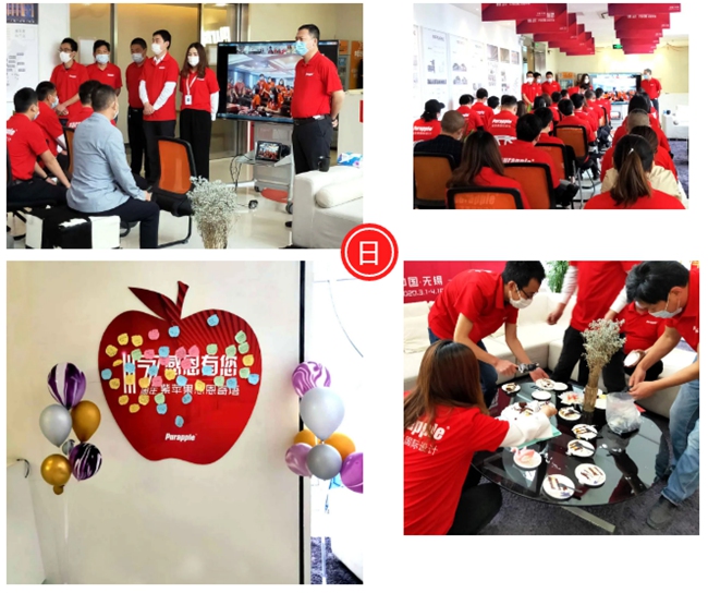 无锡紫苹果装饰